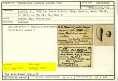 Karteikarte zum Holotyp von Textilaria convexa Karrer, 1864